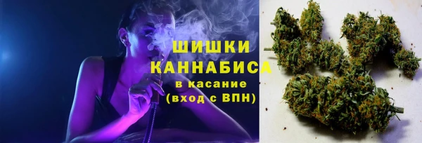 молекула духа Красноперекопск