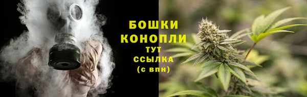 молекула духа Красноперекопск