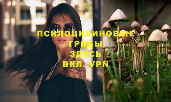 мет Краснослободск