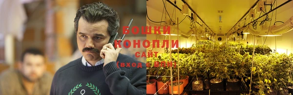 молекула духа Красноперекопск