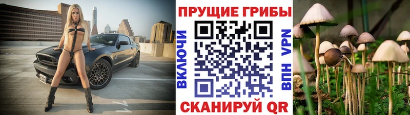 Псилоцибиновые грибы мухоморы  купить наркотики сайты  Яблоновский 