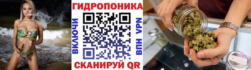 Шишки марихуана индика  где продают наркотики  Яблоновский 